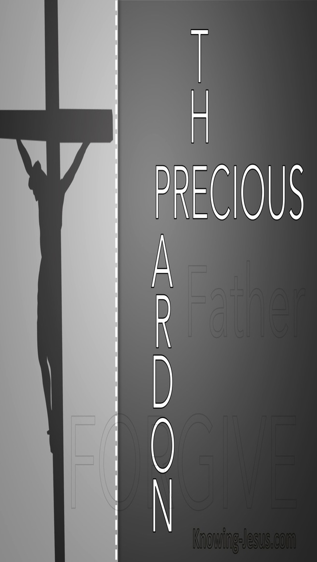 The Precious Pardon (devotional)01-03 (gray)